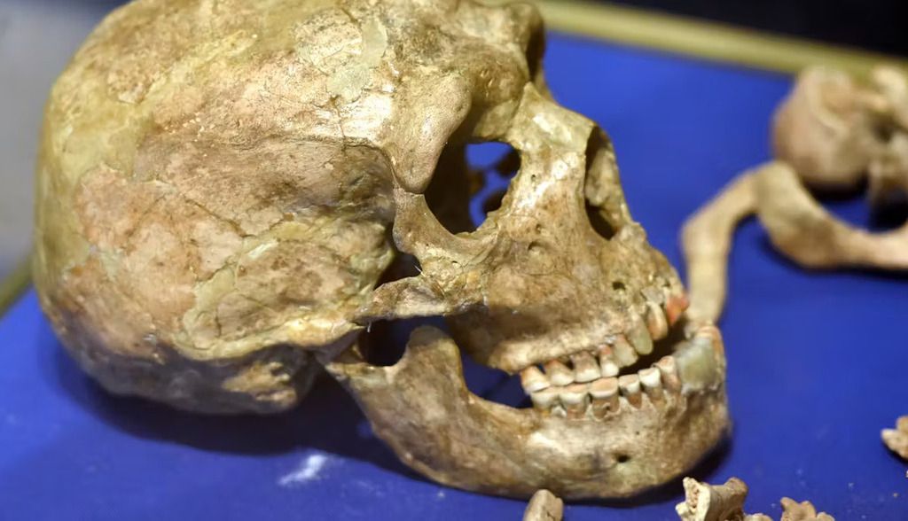 Neandertales con lesiones olímpicas
