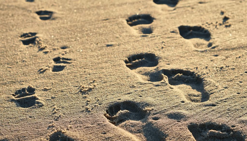 Y pese a todo, la evolución de las especies sigue su camino