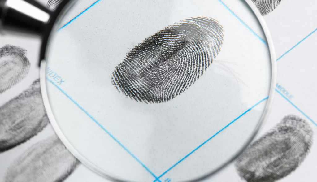 Cromatografía, un detective imprescindible en el laboratorio