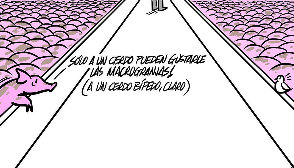 “Macrogranjas”