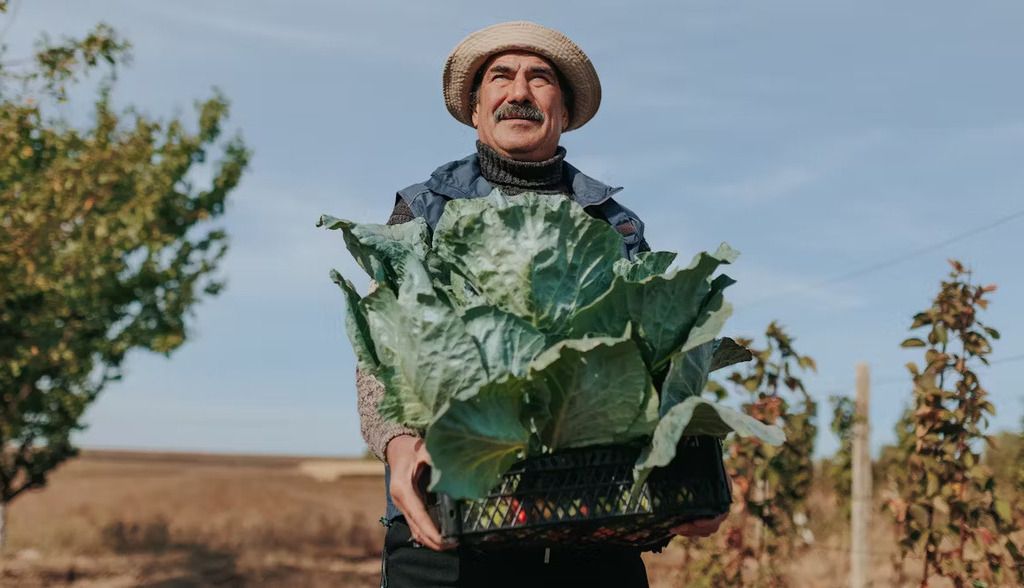 ¿Por qué el campo se resiste al cambio?