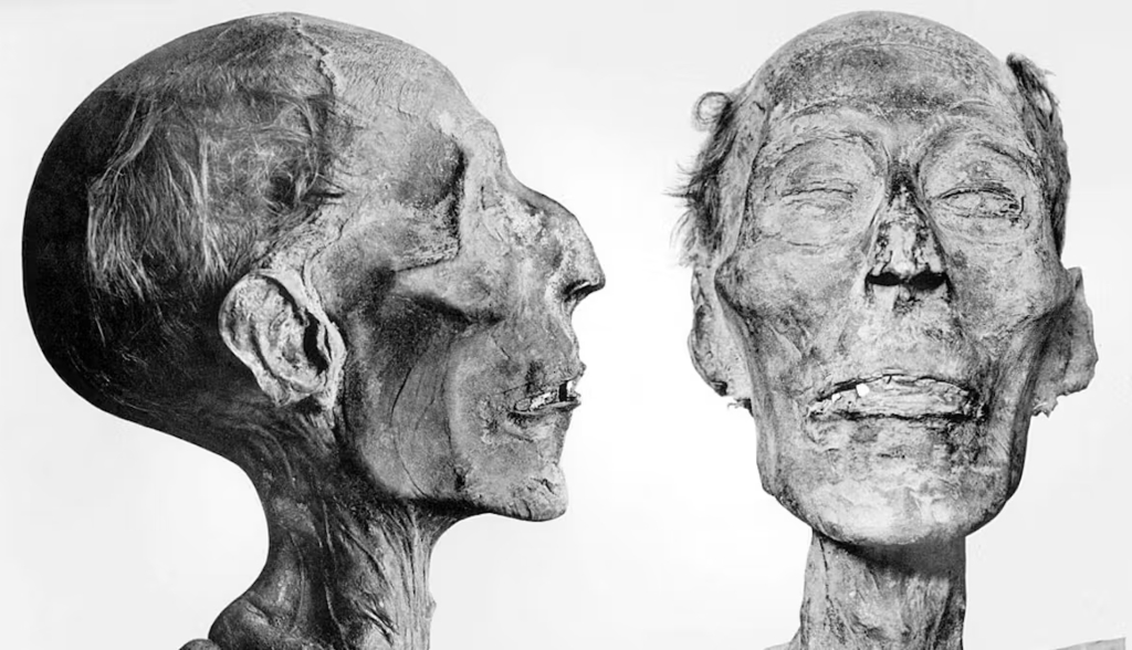 Bulos de museo: momias vengativas, asesinatos rituales y memes en la cultura popular