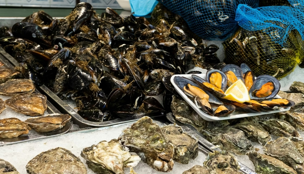 Cómo cambia el impacto ambiental de los mejillones si los consumimos frescos, congelados o en lata