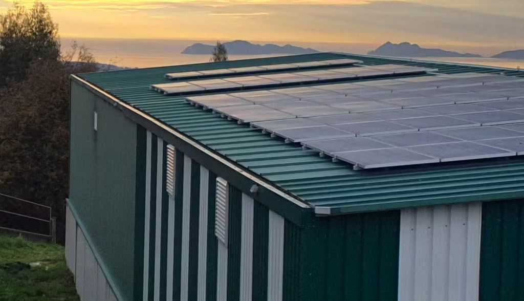 La revolución energética de Tameiga: 20 años repartiendo leña