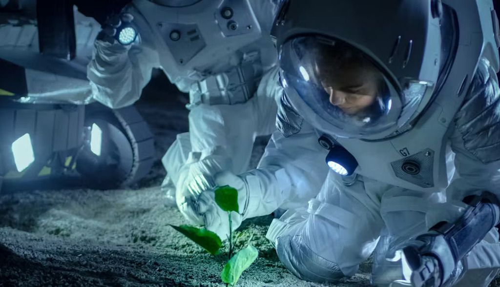 Cómo la fotosíntesis artificial puede ayudar en la colonización del espacio