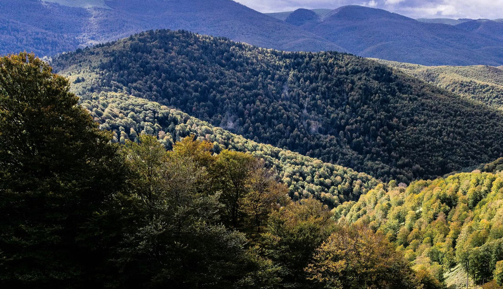 ¿Toda intervención humana en la naturaleza es negativa? Lecciones de Darwin sobre adaptación al cambio climático