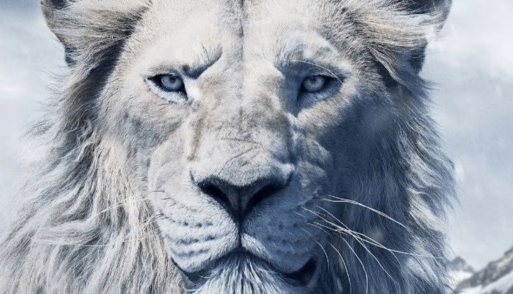 ¿Por qué nos empeñamos en asociar el color blanco con la maldad?