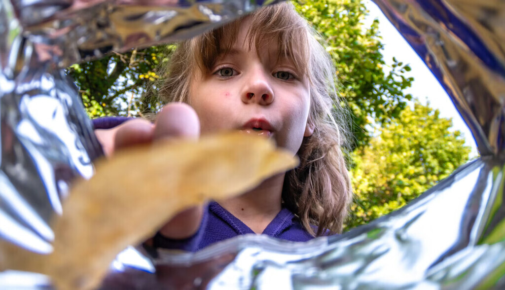 La mitad de una bolsa de patatas fritas es aire