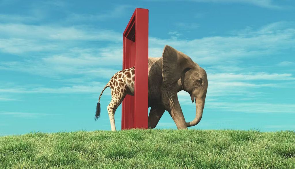 ¿Tienen imaginación los animales?