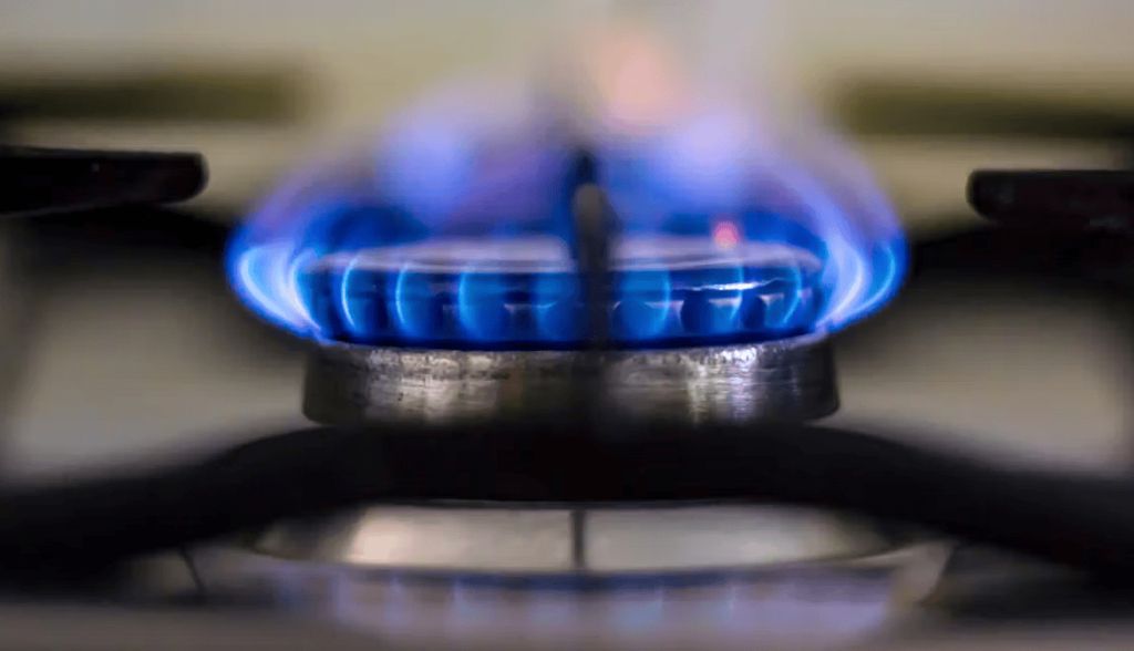 Por qué nos hace daño el monóxido de carbono y otras evidencias de la evolución
