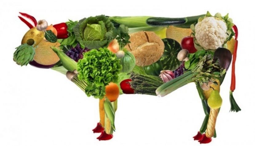 Vitamina B12. El talón de Aquiles para veganos y vegetarianos