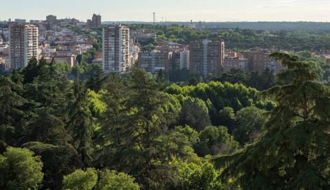  Copas de árboles en primer plano con edificios de una ciudad al fondo Lancho/Shutterstock