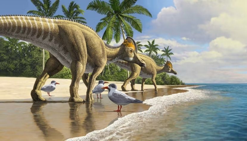 El Ajnabia odysseus vivió hace 66 millones de años, lo que lo convierte en uno de los últimos dinosaurios de la Tierra. Raul Martin