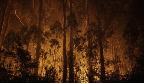 El Gobierno activa las ayudas frente a los incendios y aprueba una protección laboral extraordinaria para los afectados