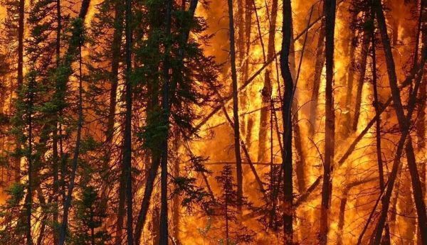 España no arde, la queman