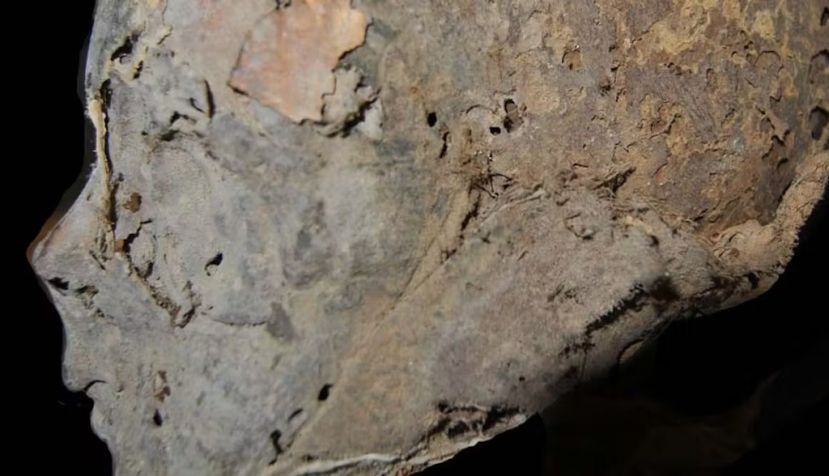 Cabeza momificada de doña Leonor de Castilla. Pastor et al. 2021. Natural mummifications in Castile &amp; Leon (Spain). European Journal of Anatomy 25: 221–32.