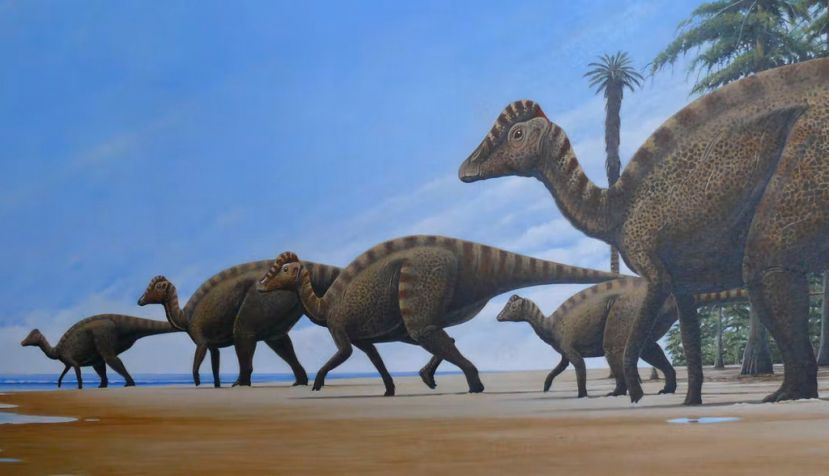 Manada de Blasisaurus recorriendo una playa del Cretácico Superior de Huesca. Arturo De Miguel, Author provided