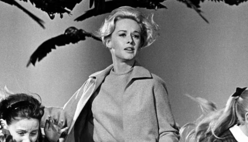 Fotograma de la película Los pájaros (1963).
