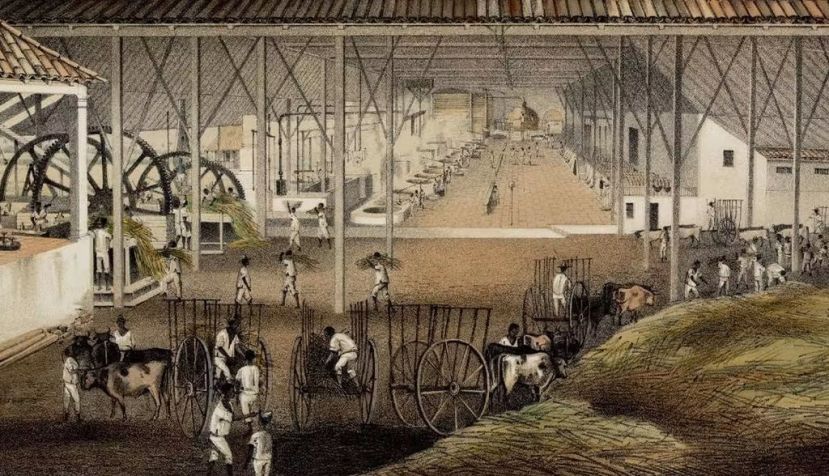 Ingenio ‘El Progreso’, propiedad del señor Marqués de Arcos, dibujado y litografiado por Eduardo Laplante. Del libro ‘Los ingenios: colección de vistas de los principales ingenios de azúcar de la isla de Cuba’. Proyecto Gutenberg