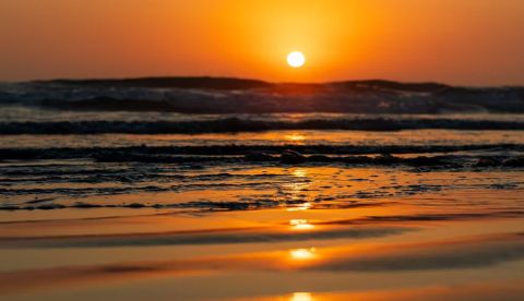 David Soraci/Shutterstock