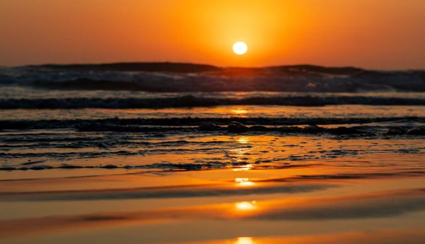 David Soraci/Shutterstock