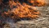 2025 fue la temporada de incendios forestales más destructiva registrada en la UE